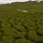 Alpes-scandinaves